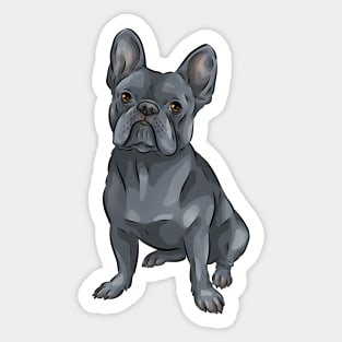 Cute French Bulldog | Blue | Dilute Sticker